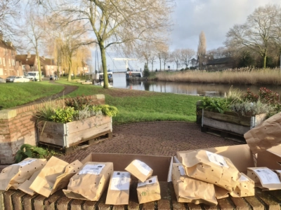 De Kerstboom en de tulpenbollen